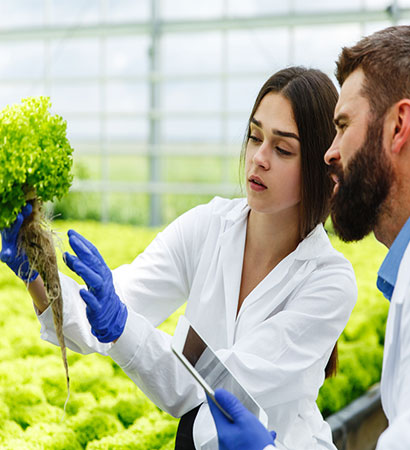 Doğal Gıda Ürünleri alanında teknik destek hizmetleri