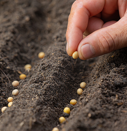 Müşteriye Özel Çözümler