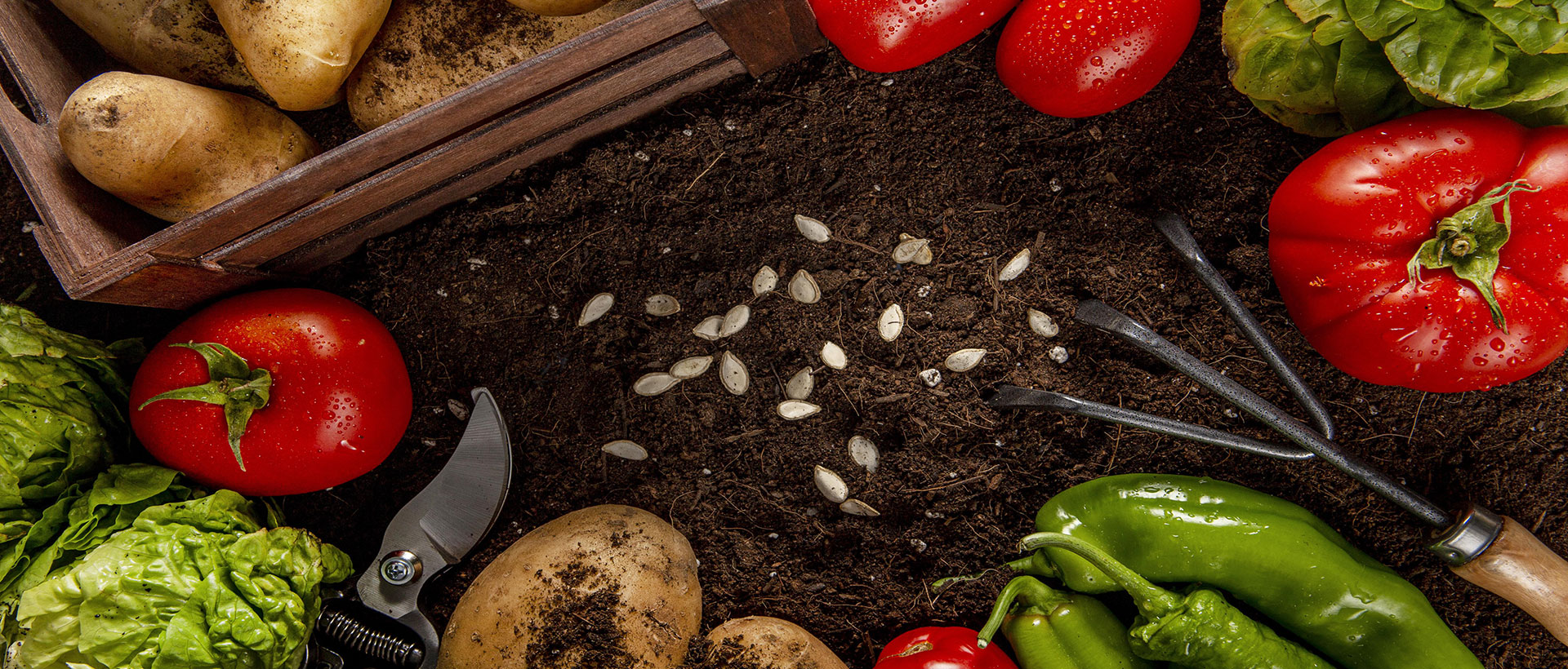 Doğal Gıda Çözümleri