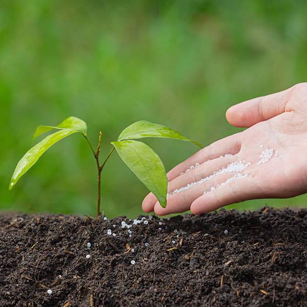 Yeni Nesil Gübreleme ve Gübre Ürünleri